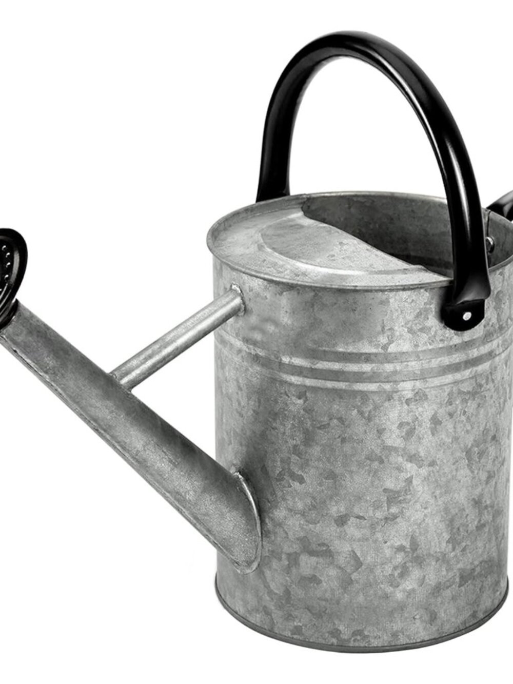 Metal Watering Can, 1 Gallon for Outdoor Garden Plants,SilverB